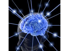 Gli effetti della psicoterapia sul cervello
